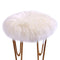 PAGISOFE Soft Faux Sheepskin Fluffy Rugs for Bedroom Kids Room, High Pile Faux Fur Area Rug Bedside Floor Carpet Photography, 3x5 Feet Rectangular Grey