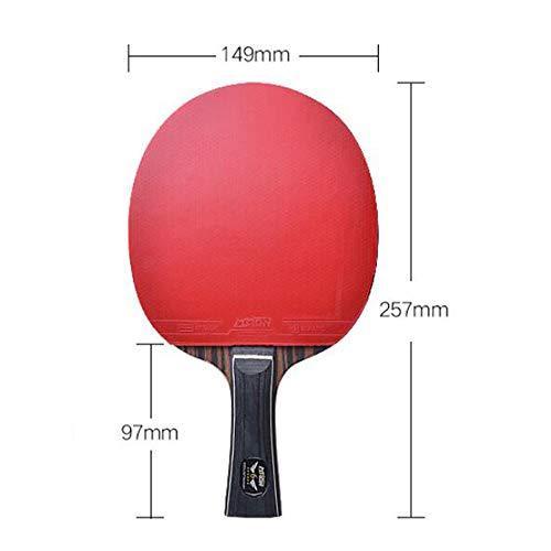 SSHHI Table Tennis Bats,Ping Pong Paddle Portable,Comfortable Handle,Suitable for Daily Training, Fashion/As Shown / 14.9×24.3cm