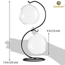 SunGrow 2 Glass Plant Terrarium Globes with Metal Stand - 13” Tall Black S-Hook Plant Stand from Includes Pair of 4.7” Crystal Clear Glass Vivariums - Opening of 2.4” for Small Air Plants & Cactus