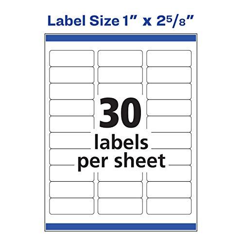 Avery 5160 Easy Peel Address Labels, White, 1 x 2-5/8 Inch, 3,000 Count (Pack of 1) Pack of 2