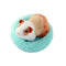 Hamster Bed Soft Warm Cushion for Small Animal - Warm House Sleep Mat Pad for Hamster/Guinea Pigs/Hedgehog/Squirrel/Mice/Rats/Chinchilla