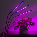 Grow Light, Auto Turn ON/OFF Led Grow Lights for Indoor Plants, Asiur Timing Plant Grow Lamp with 5 Dimmable Level 90LED (Upgraded Switch)