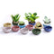 LUCKEGO 2.5 Inch Ceramic Ice Crack Zisha Serial Succulent Plant Pot Cactus Plant Pot Flower Pot Container Planter Full Colors Package 1 Pack of 12