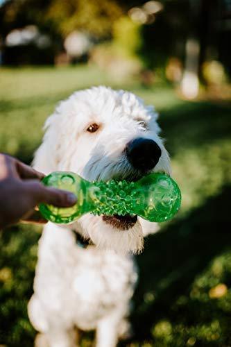 Hyper Pet DuraSqueaks Dog Toy Balls and Dog Chews (Squeaky Dog Ball For Interactive Play – Floating Dog Balls and Dog Toys)