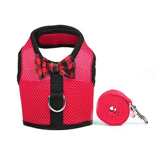 RYPET Small Animal Harness and Leash - Soft Mesh Small Pet Harness with Safe Bell, No Pull Comfort Padded Vest for Small Pet