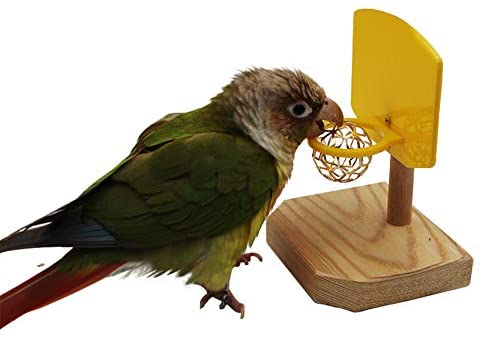 QBLEEV Bird Toys, Bird Trick Tabletop Toys, Training Basketball Stacking Color Ring Toys Sets, Parrot Chew Ball Foraing Toys, Education Play Gym Playground Activity Cage Foot Toys