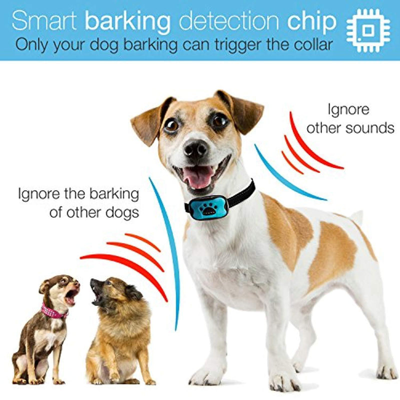 DogRook Dog Bark Collar- Humane Anti Barking Training Collar - Vibration No Shock Dog Collar - Stop Barking Collar for Small Medium Large Dogs - Best No Barking Dog Collar