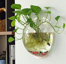 Sweetsea Hanging Wall Mounted Fish Bowl Aquaponic Tank Aquariums Plant Fish Bubble - Clear (Medium)
