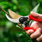 Professional Pruning Shears with Titanium Coated Blades - Lightweight Gardening Tools for Comfortable Use - Find Your Green Thumb with Rust Resistant Cutters That Stay Sharp Longer