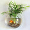 Sweetsea Hanging Wall Mounted Fish Bowl Aquaponic Tank Aquariums Plant Fish Bubble - Clear (Medium)