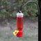 Gray Bunny GB-6846B Mini Hummingbird Feeders, Set of 4, Includes Hangi, Transparent