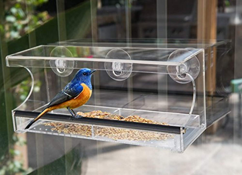 Outdoor Prospects Window Bird Feeder - Extra Strong Suction Cups - Free Bonus Set Included - Easy to Clean Sliding Seed Tray - Sturdy Perch - Modern Outdoor All Weather Design for Wild Birds