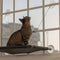 Cat Window Perch, Mounted Cat Bed, Pet Perch with 4 Big Suction Cups, Holds up to 40 lb, Black