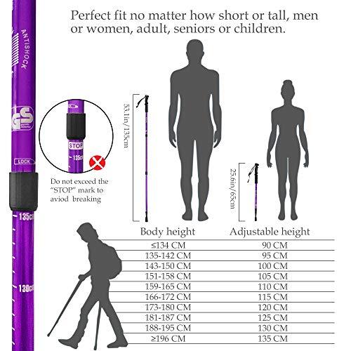 TheFitLife Nordic Walking Trekking Poles - 2 Pack with Antishock and Quick Lock System, Telescopic, Collapsible, Ultralight for Hiking, Camping, Mountaining, Backpacking, Walking, Trekking