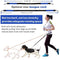 Paw Lifestyles Hands Free Dog Leash for Running Walking Training Hiking, Dual-Handle Reflective Bungee, Poop Bag Dispenser Pouch, Adjustable Waist Belt, Shock Absorbing, Ideal for Medium to Large Dogs