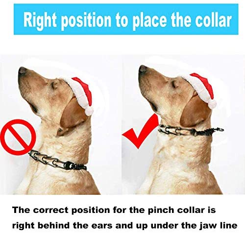 Supet Dog Prong Collar, Dog Choke Pinch Training Collar with Quick Release Snap Buckle for Small Medium Large Dogs(Packed with One Extra Links)