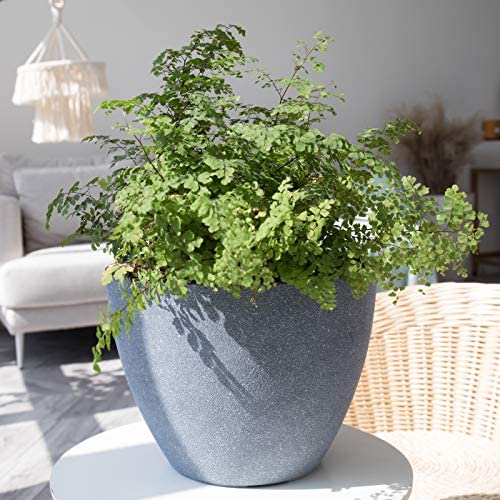 La Jolíe Muse Flower Pot Garden Planters Outdoor Indoor, Plant Containers with Drain Hole, Weathered Grey(11.3 Inch, Pack 2)