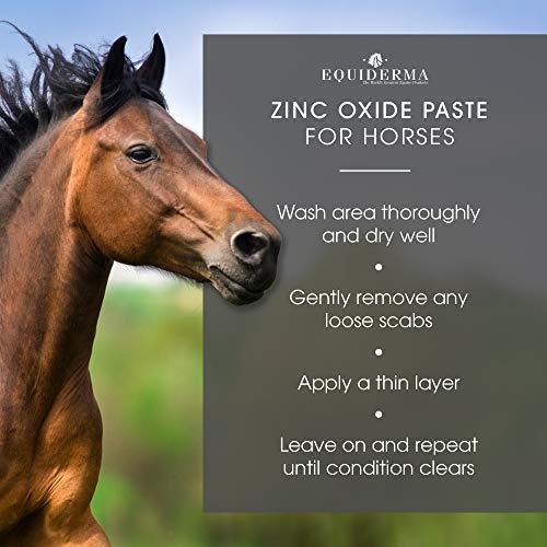 Equiderma Zinc Oxide Paste for Horses, 16 Ounces Each