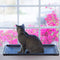 Cat Window Perch, Mounted Cat Bed, Pet Perch with 4 Big Suction Cups, Holds up to 40 lb, Black