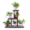 Ufine Wood Plant Stand Outdoor Indoor 3 Tier Vertical Carbonized Multiple Planter Holder Flower Ladder Stair Shelf Garden Balcony Patio Corner Pot Display Storage Rack (Space SavingLight Weight)