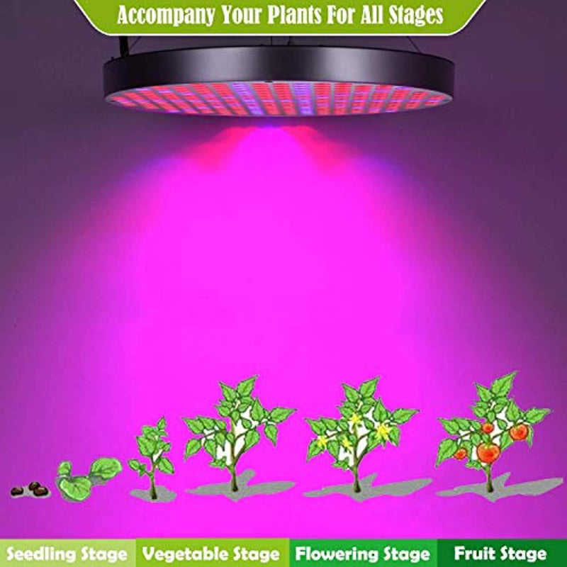 50W LED Plant Grow Lights, Shengsite UFO 250 LEDs Indoor Plants Growing Lamp with Red Blue Spectrum,Hydroponics Growth Light for Seedling,Vegetative&Flowering