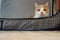 Necoichi Portable Stress Free Cat Cage Always Ready to go!