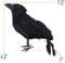 ATDAWN Halloween Black Feathered Crows, Realistic Looking Halloween Decoration Birds, 6 Pack