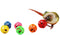 QBLEEV 5 Pack Bird Bell Balls Sets for Chewing Playing Training，Colorful Parrot Cage Treat Toy for Cockatiel Parakeet Conure Budgie，Small Pet Foot Talon Toy for Parrot Kitten Puppy，Random Color