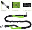 Paw Lifestyles Hands Free Dog Leash for Running Walking Training Hiking, Dual-Handle Reflective Bungee, Poop Bag Dispenser Pouch, Adjustable Waist Belt, Shock Absorbing, Ideal for Medium to Large Dogs