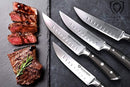 DALSTRONG Steak Knives Set - Gladiator Series - Straight Edge - German HC Steel - w/Sheaths