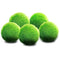 6 Nano Goldfish Moss Balls - 0.6” Marimos for Community Fish Tanks - Live Plant That Needs Minimal Care - Perfect for Neon, Tetra, Guppies, Playts & Molly by Luffy