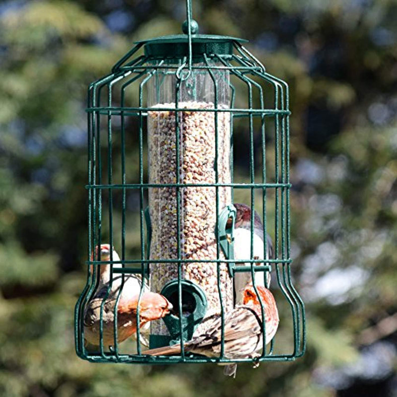 Gray Bunny GB-6860 Caged Tube Feeder, Squirrel Proof Wild Bird Feeder, Outdoor Birdfeeder with Large Metal Seed Guard Deterrent for Large Birds