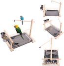 QBLEEV Parrots Playstand Bird Playground Wood Perch Gym Stand Playpen Ladder with Toys Exercise Playgym for Conure Lovebirds