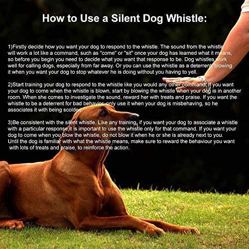 Dog Whistle to Stop Barking - Silent Bark Control for Dogs - Ultrasonic Patrol Sound Repellent Repeller - Dog Whistle Politics Training for Call - Dog Free Lanydard Strap
