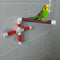 Portable Suction Cup Shower Perch Stand for Bird Parrot Macaw Cockatoo African Greys Budgies Parakeet Cockatiel Conure Lovebirds Bath Perch Toy