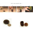 Seed Pods Jiffy-7 Peat Pellets 100 Pack 42mm - Jiffy Brand Seed Starter Pods for Plant Seedlings