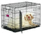 MidWest Homes for Pets Life Stages ACE Double Door Dog Crate