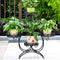 ZGXY Homes Garden 4-Tier Metal Plant Stand Shelf Display Rack Flower Pot Holder Indoor Outdoor Patio Corner Decor Black