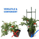 EasyGO Products EGP-GARD-020 Cages – Stakes-Vegetable Trellis-3 Pack Tomato Plant