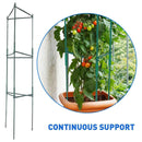EasyGO Products EGP-GARD-020 Cages – Stakes-Vegetable Trellis-3 Pack Tomato Plant
