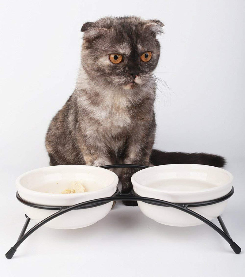 Ymachray Pet Feeder Double Ceramic Bowl for Small Dogs and Cats