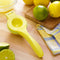 Rantizon Squeezer Juicer - Rantizon Lemon Squeezer with a lemon Zester, 2 in 1, Manual Citrus Press, Lime Juicer, Citrus Press, Orange Squeezer, Handheld Juicer, Sturdy Aluminum, Dishwasher safe