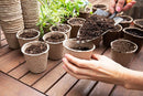 100 Recycled Paper Planting peat Pot 3"- Perfect for Starting Seeds and transferring to Garden Without Damage to Roots. 100% Biodegradable and eco Friendly.