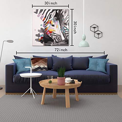 Bignut Art Paintings Hand Painted Oil Painting Funny Animal Zebra Wall Art on Canvas Framed Wall Decor for Living Room Bedroom Office (30x30 Inches, Zebra)
