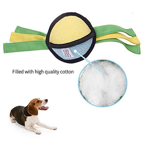 EETOYS Low Stuffing Latex with Plush Squeaker Hand Sew Double Stitched Seam Interactive Dog Toy by EETOYS MARKET LEADER PET LOVER